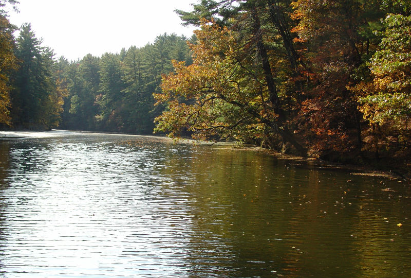 Mirror-Lake-00431
