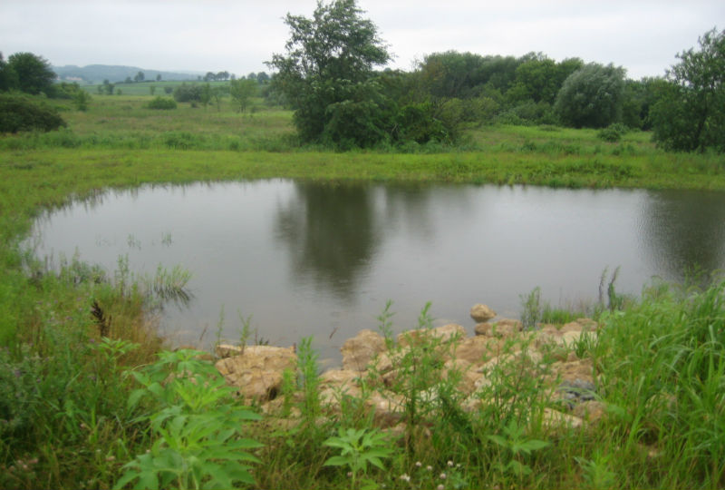 Rdbg-July_2010-001