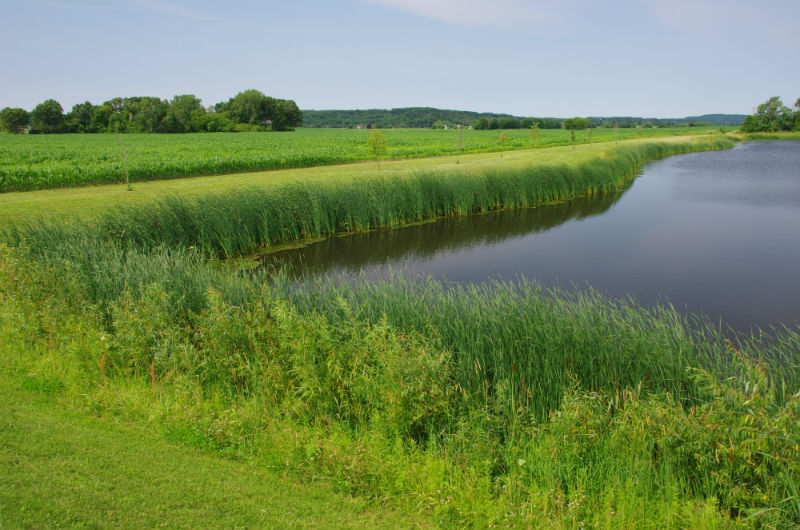 Mauston-SW-Detention-Basin-_2866-website